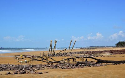 Shankarpur Beach